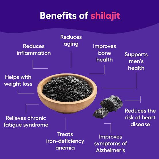 Shilajit - The Destroyer Of Weakness 50g (Incl. Delivery)